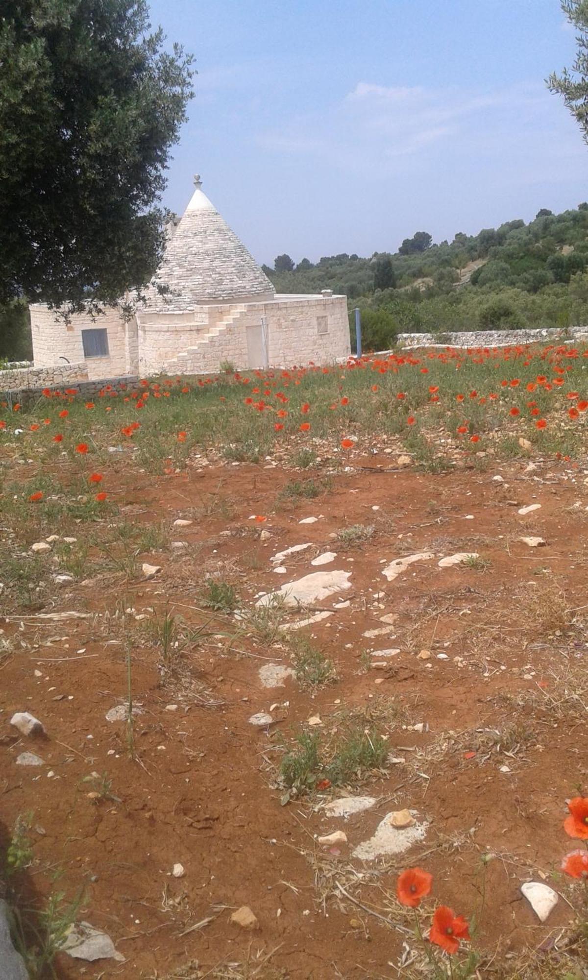 Trullo Alto Salento Vila Cisternino Exterior foto